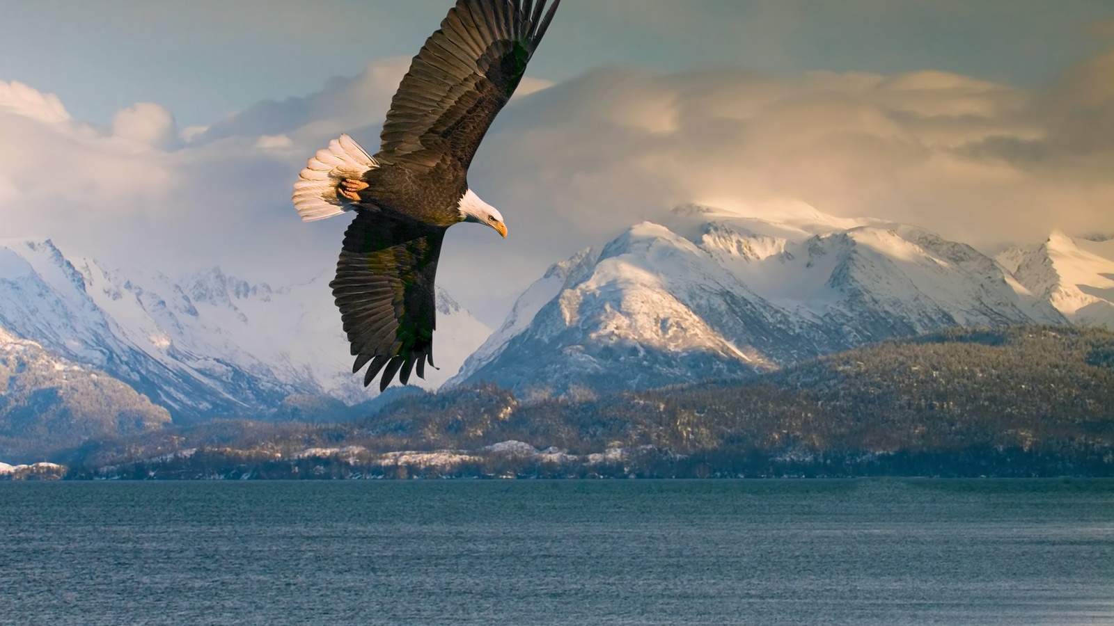 14_HI_Alaska_Eagle_Harbor_1.jpg