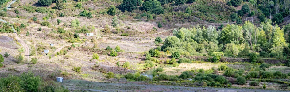 Mossel Pit Messel Pit Fossil Site i Hessen | FDM Travel