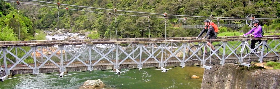 Cykelture I New Zealand FDM Travel