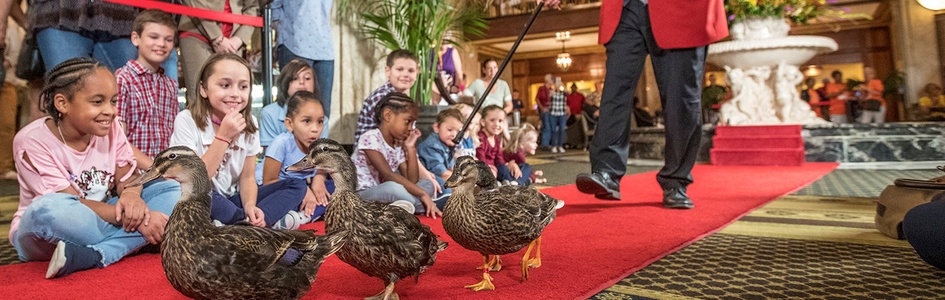 Duck Parade The Peabody Ducks march i Memphis | FDM Travel