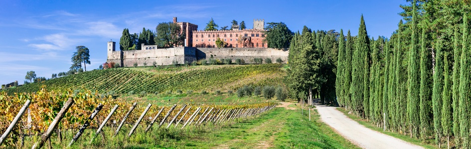 Vingarde I Toscana Fdm Travel