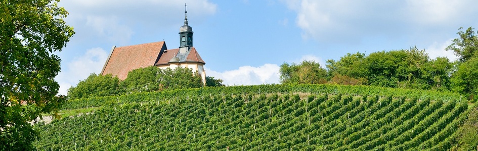 VinomrÃ¥det Franken | FDM travel