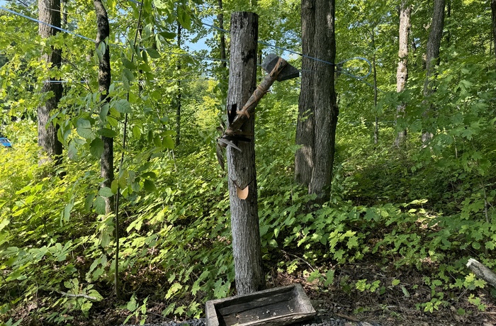 Érablière du Cap, Sugar Shack i Qeébec