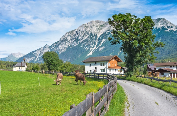 Vej gennem landbrugsområde ved de østrigske Alper, Østrig