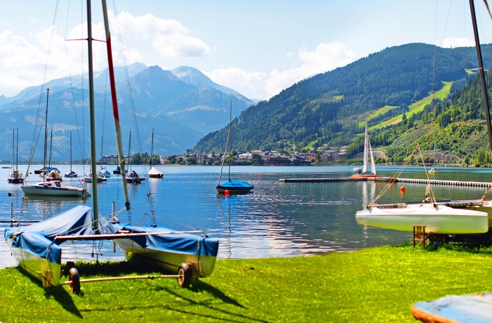 Katemaraner ved søbredden af Zell ved feriebyen Zell am See, Salzburgerland i Østrig