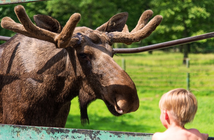 Skånes Djurpark