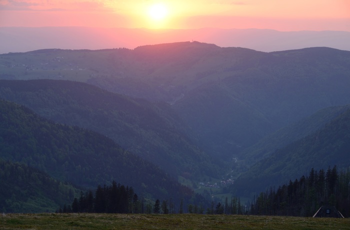 Biosphärengebiet Schwarzwald, Foto Thomas Stephan 