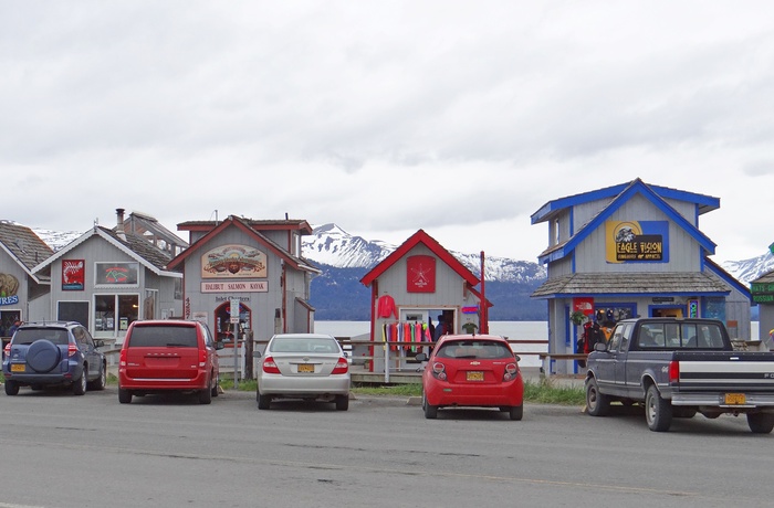Små butikker i kystbyen Homer, Alaska