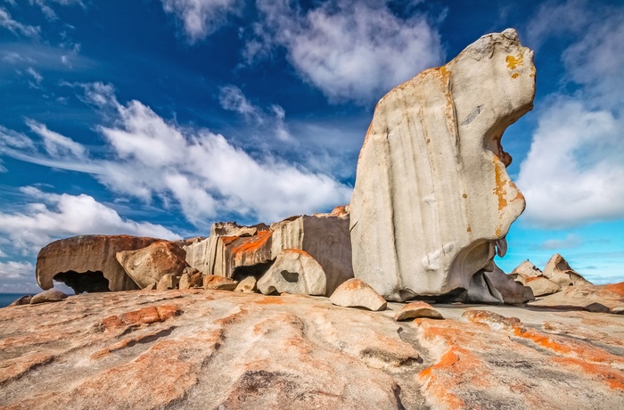 Flinders Chase National Park på Kangaroo Island - South Australia