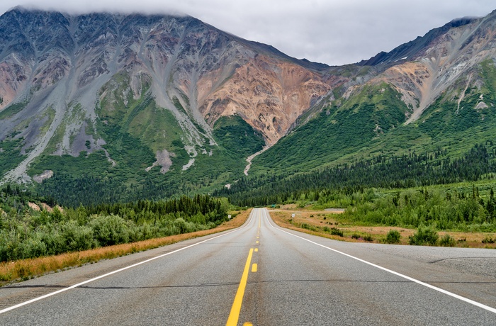 Richardson Highway nær Delta Bison Sanctuary området - Alaska