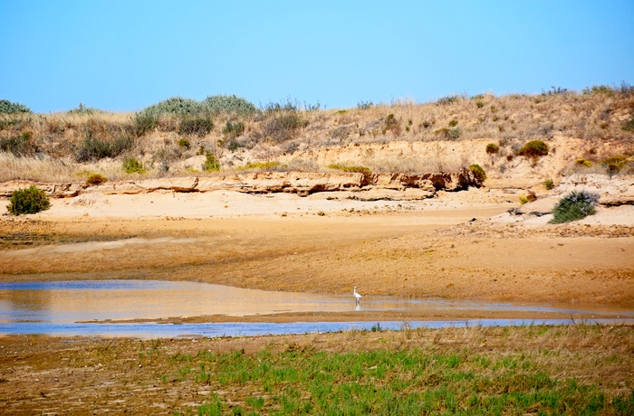 Ria Alvor