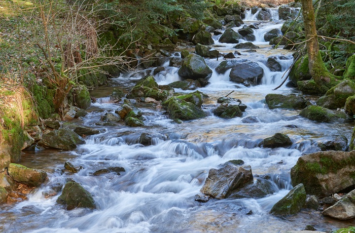 Allerheiligen vandfaldet i Schwarzwald