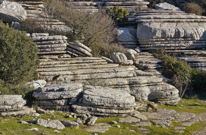 Klippeformationer i naturreservatet El Torcal, Andalusien