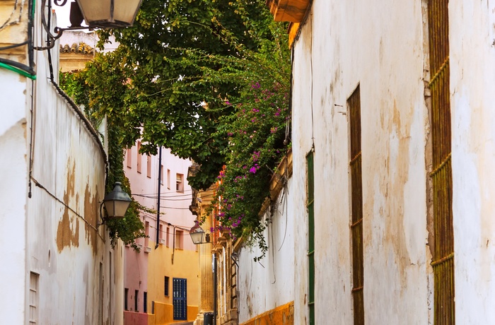 Smal gade i den gamle bydel i Jerez de la Frontera, Andalusien