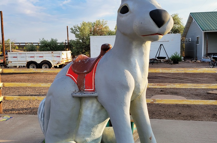 Legendarisk kanin-figur foran Jack Rabbit Trading Post - ikonisk souvenirbutik på Route 66 i Arizona