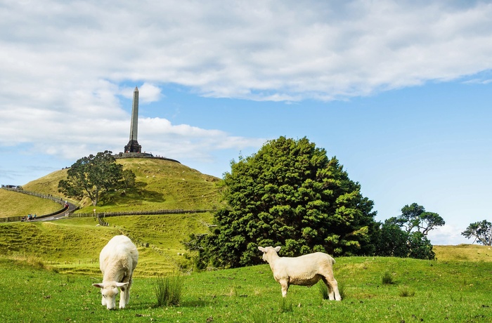 One Tree Hill uden for Auckland, Nordøen i New Zealand