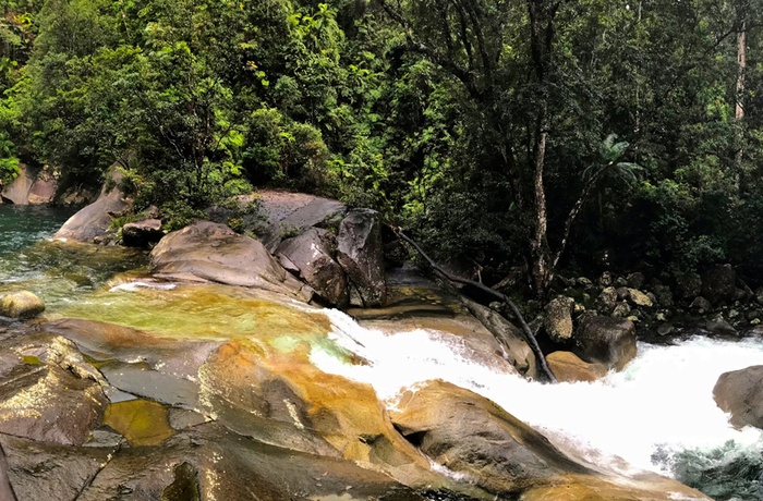 Josephine Falls i Wooroonooran  Nationalpark - Queensland i Australien