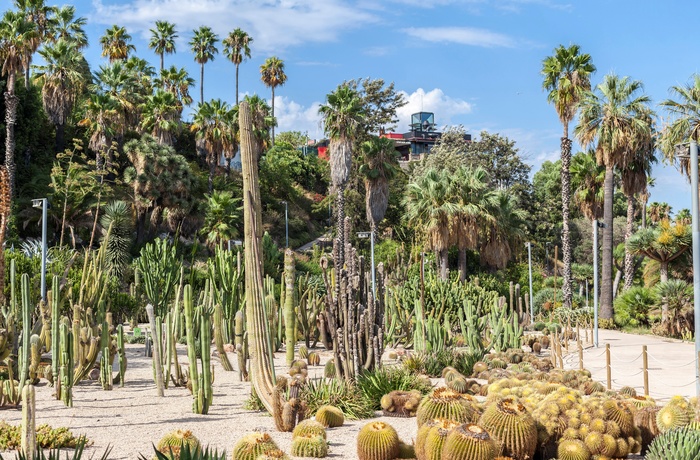 Den botaniske have Jardins de Mossèn Costa i Montjuic, Barcelona