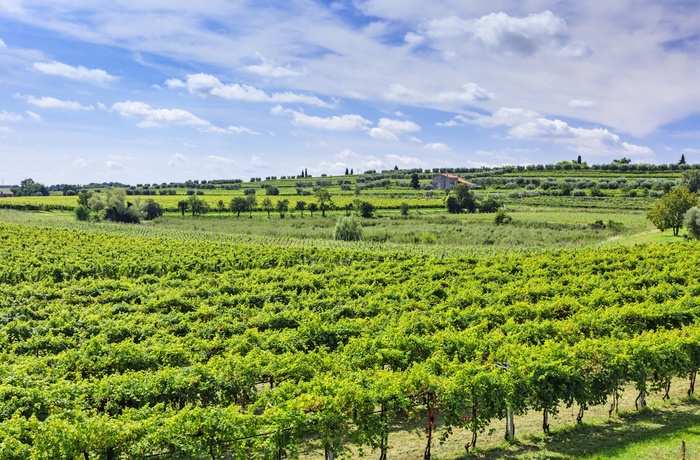 Bardolino - vinområde