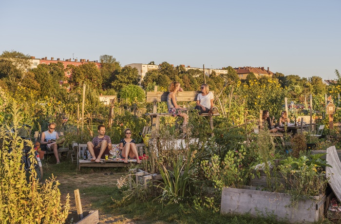 Tempelhofer Feld i Berlin - © VisitBerlin - Foto; Dagmar Schwelle