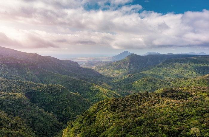 Black River Gorges National Park har den sidste oprindelige regnskov i Mauritius