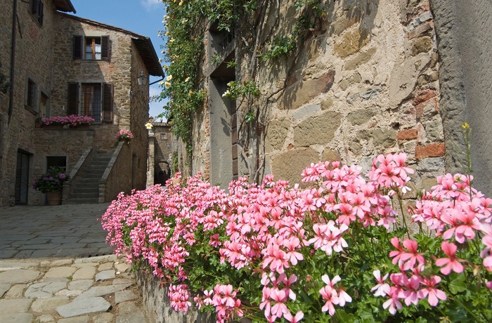Byen Volpaia i Chianti-regionen - Toscana i Italien