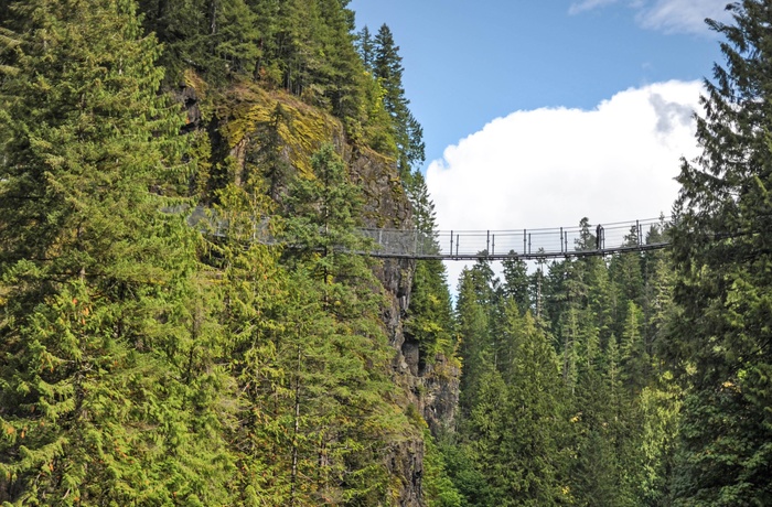 Udsigt til hængebroen i Elk Falls Provincial Park, Britiah Columbia i Canada