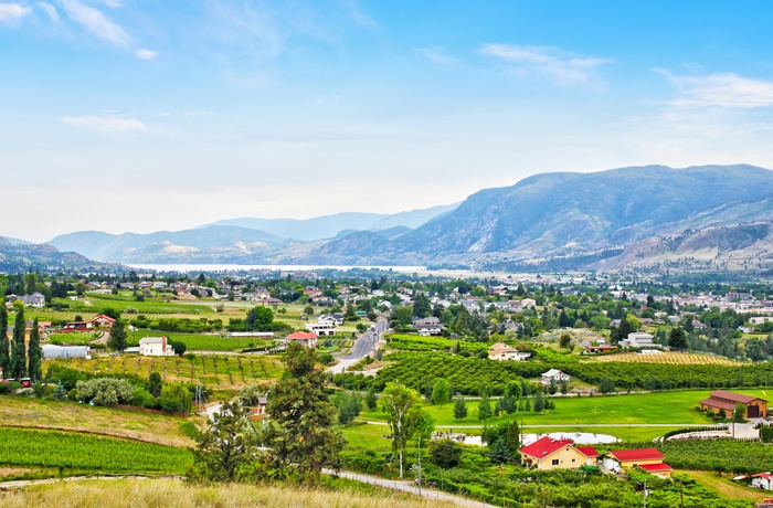 Vinmarker og frugtplantager ved Kelowna og Okanagan søen i British Columbia, Canada