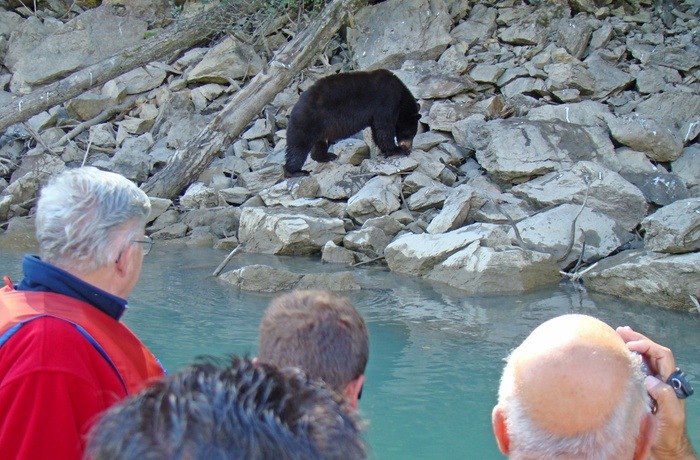 Wilderness Eco River Safari i British Columbia, Canada