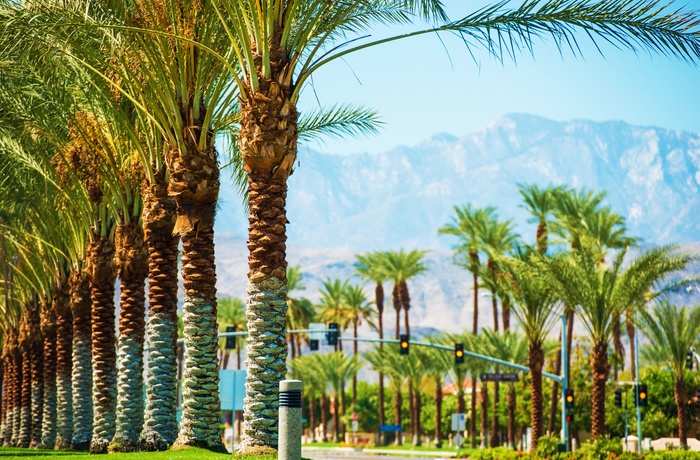 Palm Springs i Californien