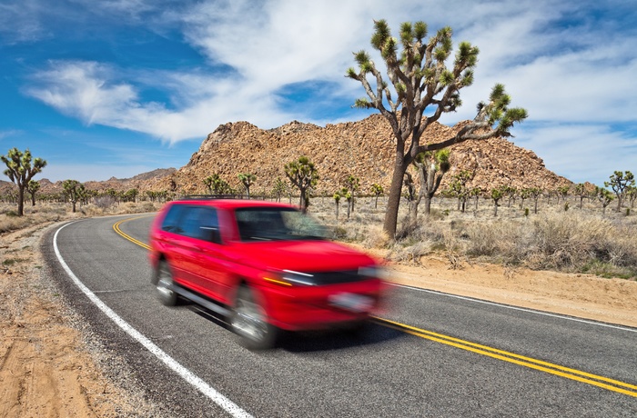 Vej gennem Joshua Tree National Park, Californien i USA