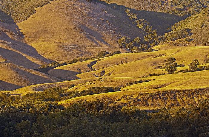 Aftenslys over Santa Ynes Valley, Californien