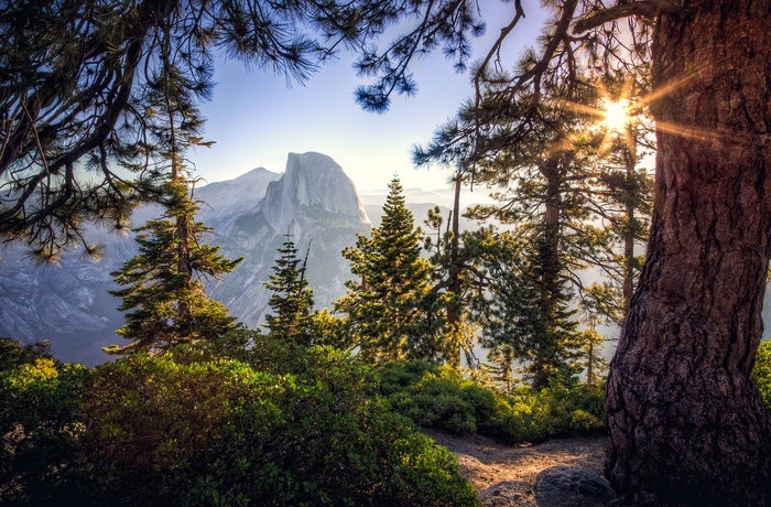 Half Dome set fra Glacier Point i Yosemite National Park