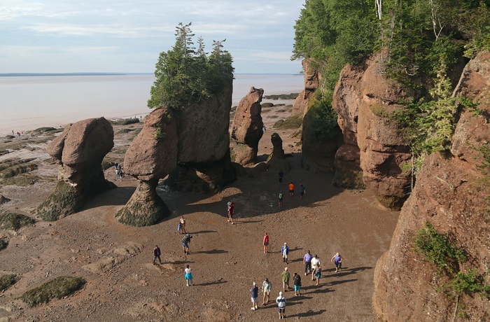 Hopewell Rocks og Fundy Bugten, New Brunswick i Canada