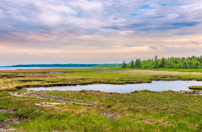 Kouchibouguac National Park, New Brunswick i Canada