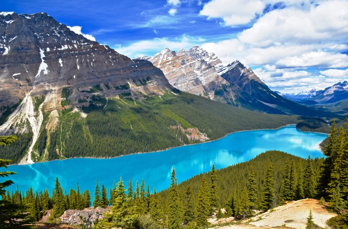 Peyto Lake, Alberta i Canada