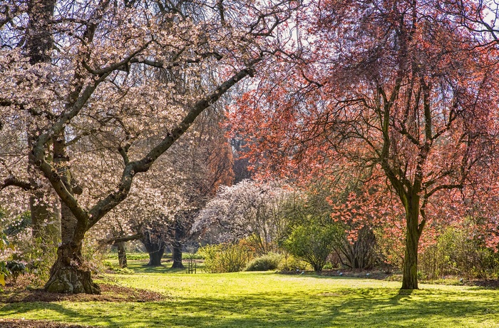 Hagley Park i Christchurch