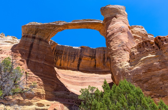 Arches eller klippebuer i McInnis Canyon National Conservation Area, Colorado