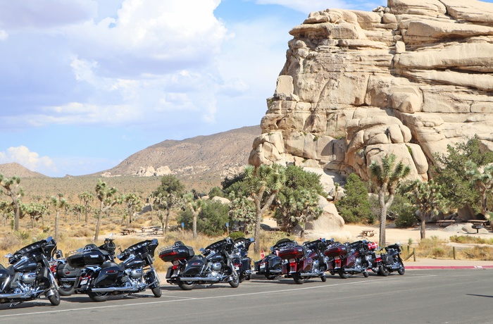 MC Route 66 og Arizona - Pause i Joshua National Park