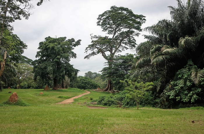 Den botaniske have i Entebbe - Uganda