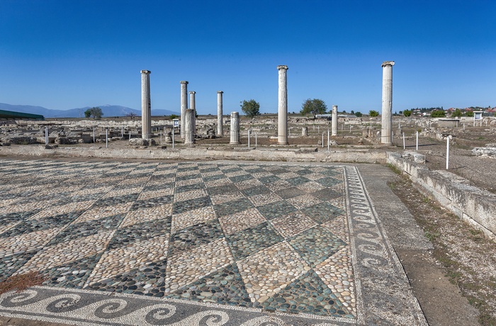 Det arkæologiske område Pella - Grækenland