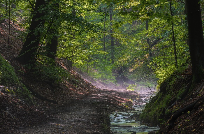 Foto: Dragekløften i Thüringer Wald © - gettyimages/Galerie-EF / Helmut Hess