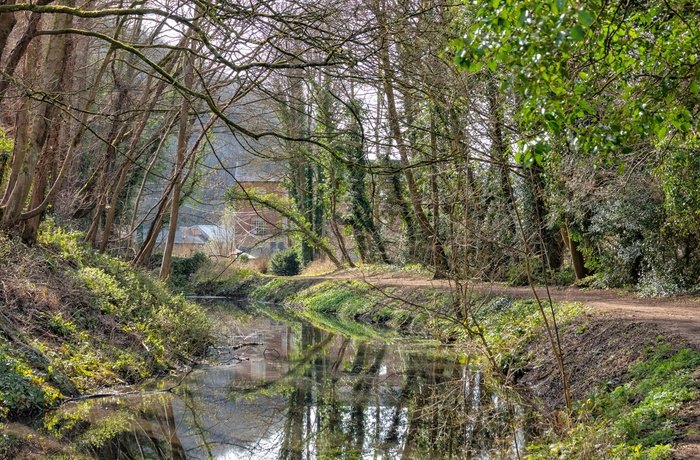 England, Cotswolds - den endnu ikke restaurerede del af Thames and Severn Canal ved Chalford lige udenfor Stroud