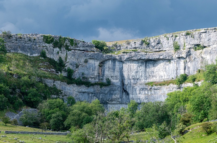 England, Yorkshire - Malham Grove i Yorkshire Dales National Park