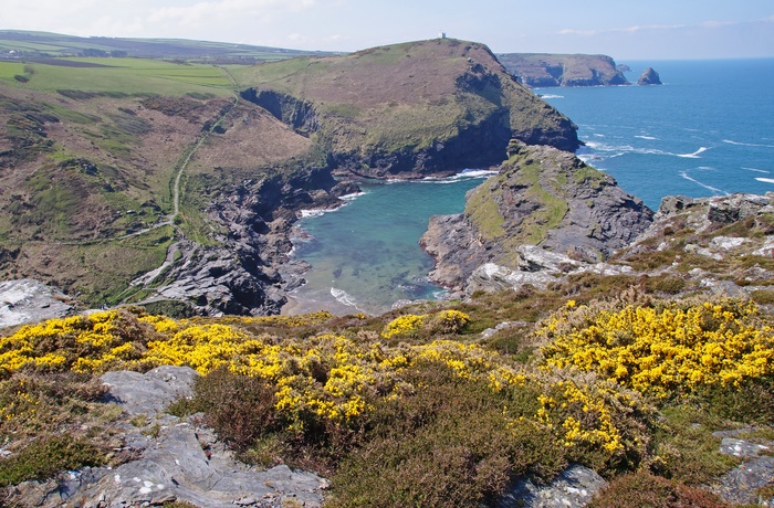 Kysten og den naturlige havn ved Boscastle, Cornwall i England