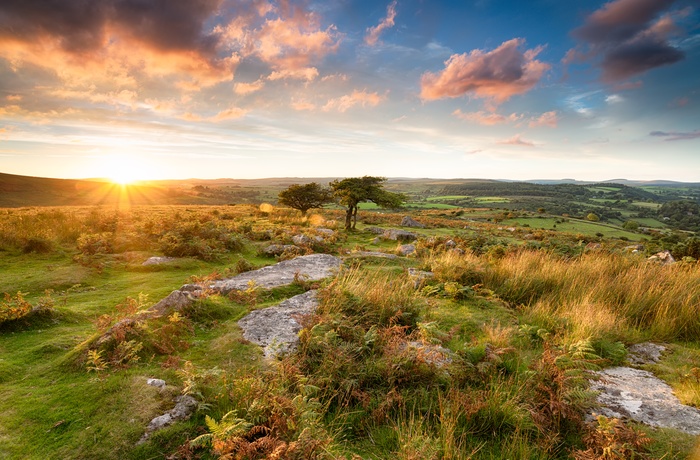 Sydengland Dartmoor