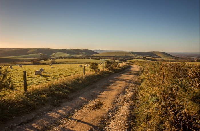 Smuk vandrerute i South Downs Nationalpark, England