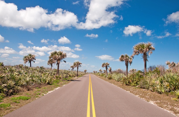 Vejen mod Canaveral National Seashore, Florida i USA