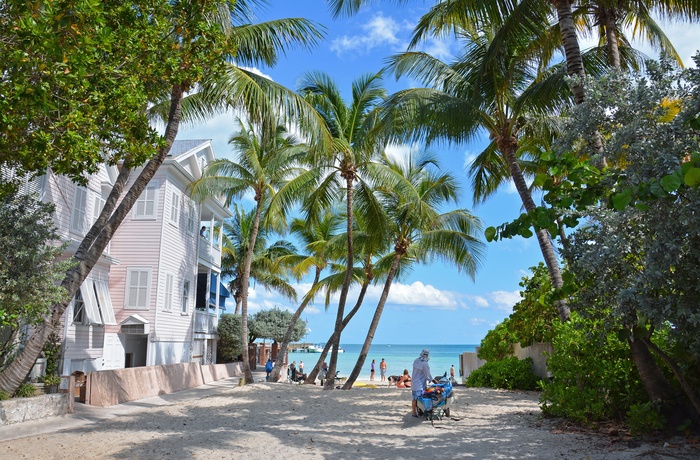 Dog Beach i Key West, Florida
