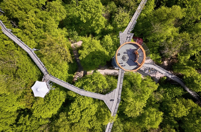 Foto: Hainich National Park i Thüringen - Et luftfoto viser gangbroen, der fører gennem tætte grønne trætoppe til et rundt udsigtstårn © - GNTB, Jens Wegener